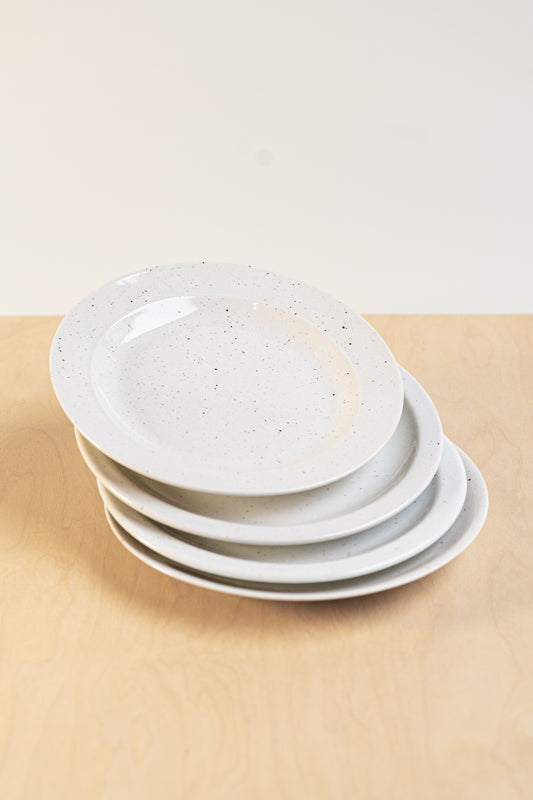 Wit Spikkel - Set Dinerborden